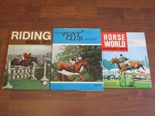 Bundle horse pony for sale  NORTHAMPTON