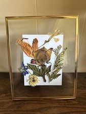 Framed dried pressed for sale  Blanket