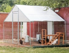 coop chickens ready for sale  Buford