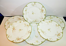 Haviland limoges lunch for sale  Mount Vernon