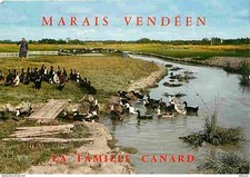 Animaux oiseaux canards d'occasion  Fruges