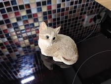 Sherratt simpson cats for sale  KING'S LYNN