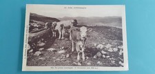abreuvoir vache d'occasion abreuvoir vache d'occasion Dijon