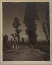 Xochimilco mexico pictorialist for sale  Warwick