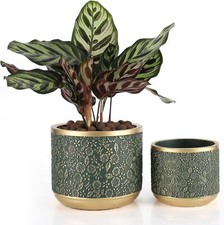 4.4 cement planter for sale  Belleville