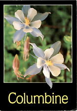 Colorado columbine petley for sale  USA