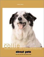 Border collie excellent for sale  USA