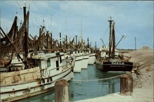 Galveston texas shrimp for sale  Sandusky