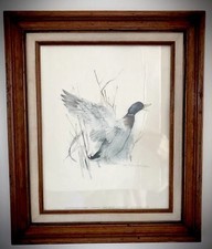 Ocean gallery professionally for sale  Ithaca
