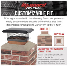 chimney guard for sale  Loveland