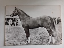 Cpsm photo publicitaire d'occasion Cpsm photo publicitaire d'occasion  Saint-Éloy-les-Mines