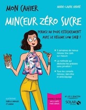 Cahier minceur zéro d'occasion  Hennebont