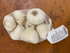 Bulbi aglio bianco usato  Andria
