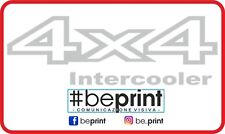 Coppia nissan terrano usato  Bronte