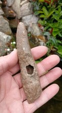 Megaloceros giganteus partial for sale  WREXHAM
