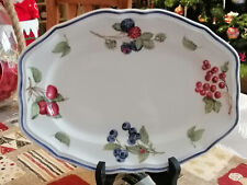 Plat ovale 29cm d'occasion  Écommoy