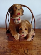Chiots saint bernard d'occasion  Saint-Just-Saint-Rambert