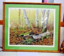 Terrill knaack grouse for sale  Edwards