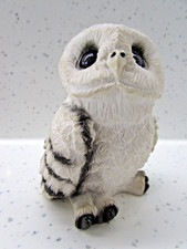Rare snowy owl for sale  STRANRAER