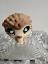 Petshop herisson 485 d'occasion Petshop herisson 485 d'occasion  Saint-Malo