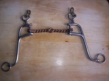 Eldonian gaited horse for sale  Franksville