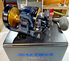 Daiwa saltiga 15h for sale  Huron