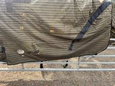 Turnout rug weatherbeeta for sale  ABERGAVENNY