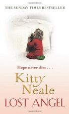 Lost angel kitty for sale  UK