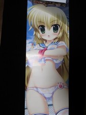 Pôster Dengeki Daioh Takuya Fujima Ryoka Bath Ofuro do Japão, usado comprar usado  Enviando para Brazil