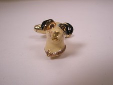 lost jack russell for sale lost jack russell for sale Portland