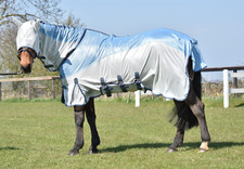 Fly rug horse for sale  WILLENHALL