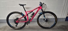 Specialized epic expert usato  Nichelino