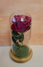 Beautiful dome lamp for sale  La Follette