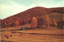 Usa secluded farmhouse for sale  Lakewood