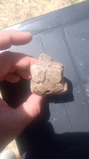 Paleolithic portable art d'occasion  Brest