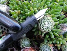 Stylo plume bic d'occasion  Blendecques