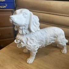 White cocker spaniel for sale  SOUTHEND-ON-SEA