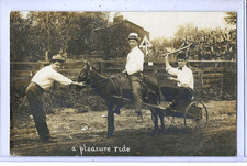 donkey wagon for sale donkey wagon for sale Chicago
