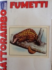 Figurine zoo mappa usato  Papiano