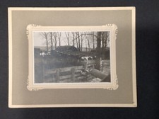 Cattle pen cabinet for sale  Sterling