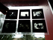 Lot diapositives film d'occasion  Mirecourt