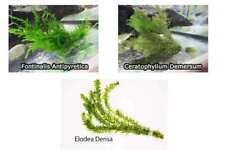Oxygenating pond water for sale  MARKET RASEN