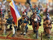 28mm napoleonic french for sale  Panama City