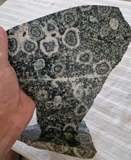 Plaques diorite orbiculaire d'occasion  Ajaccio-