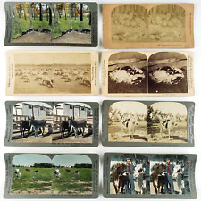 Mammal animals stereoview for sale  Portland