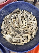 Pound 1.5 3.5 for sale  Leander