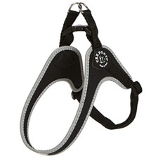 Fibbia small pettorina usato  Roccagloriosa