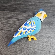 Cleverkeet little live for sale  SOLIHULL