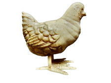 chickens laying hens for sale  Jacksonville