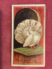 Allen ginter birds for sale  SPALDING